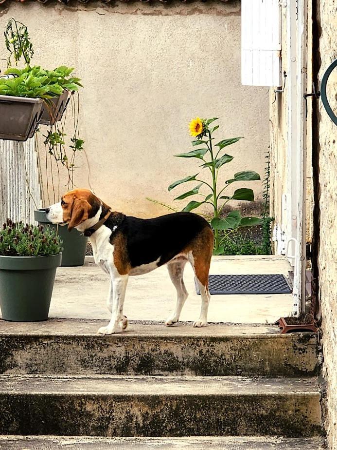 Gite Le Bonheur Hiersac Esterno foto